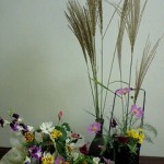 091003_2016~0001 091003_2016~0001