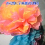 100516_1824~010001 100516_1824~010001.jpg