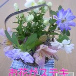 100618_1035~010001 100618_1035~010001.jpg