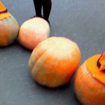 201010311623000 2010/10/31 16:23