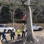 木登り体験