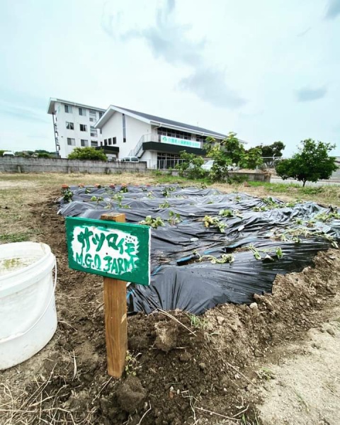 FB_IMG_1655185129247