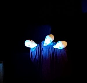 3羽の鳥による「トリオダンス」操るはココンさんひとり。