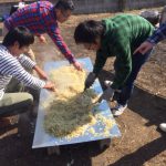 鉄板焼きそば50人前