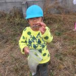 バッタとったよ