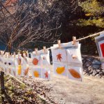 森の標本づくり