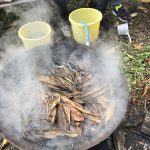 足湯薬湯(枇杷の葉と松)