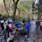 水生生物さがし