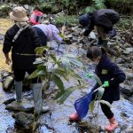 小川の水は冷たいぞ