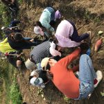 お芋、掘れ掘れ掘れ！