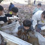 葉っぱがいっぱい！