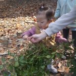 畑で採れたピーナツをちぎろう