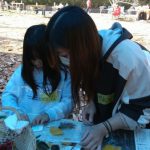 キレイな色の葉っぱや木の実は