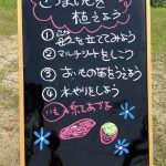 本日のメニュー